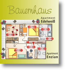 Bauernhaus mit den Ferienwohnungen "Edelwei" und " Enzian".